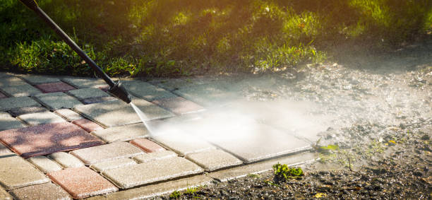 Best Animal Enclosure Cleaning  in Rochelle, IL